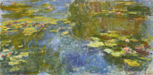 A water lily pond with lily padsDescription automatically generated