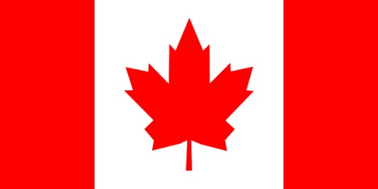 A red maple leaf on a white backgroundDescription automatically generated