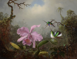 A painting of a pair of hummingbirds near a pink flower against a background of trees.